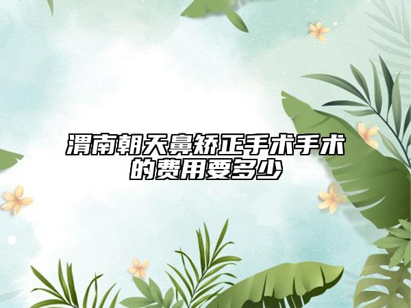 渭南朝天鼻矫正手术手术的费用要多少