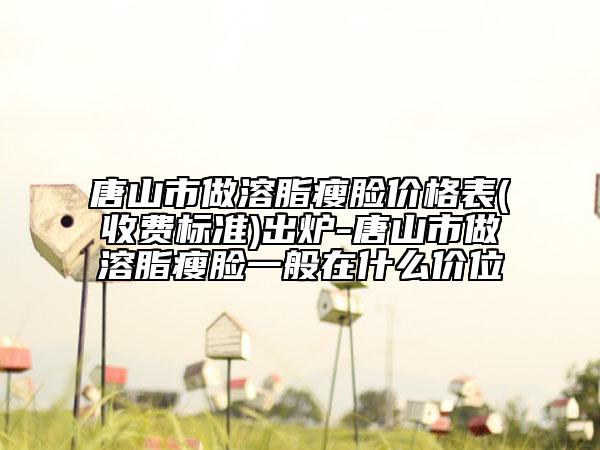 唐山市做溶脂瘦脸价格表(收费标准)出炉-唐山市做溶脂瘦脸一般在什么价位