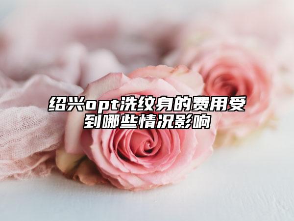 绍兴opt洗纹身的费用受到哪些情况影响