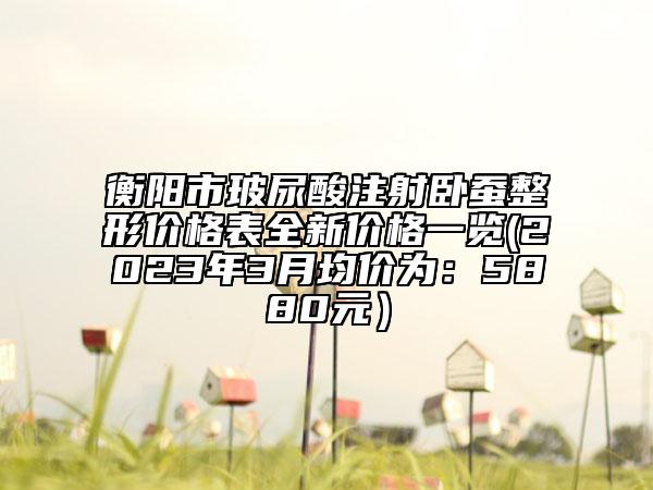 衡阳市玻尿酸注射卧蚕整形价格表全新价格一览(2023年3月均价为：5880元）