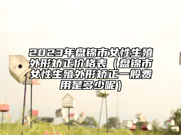 2023年盘锦市女性生殖外形矫正价格表（盘锦市女性生殖外形矫正一般费用是多少呢）