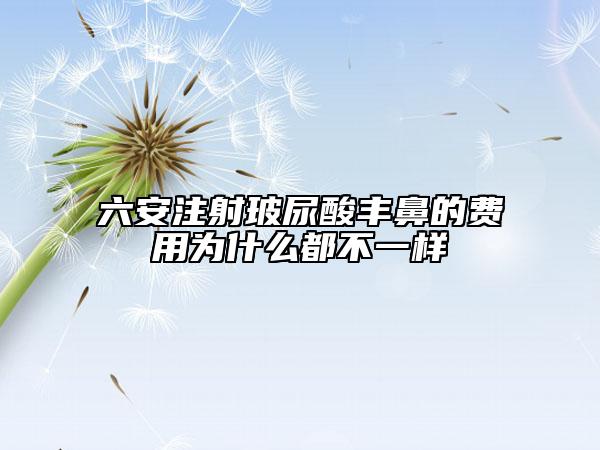 六安注射玻尿酸丰鼻的费用为什么都不一样