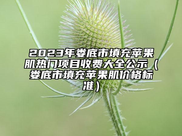 2023年娄底市填充苹果肌热门项目收费大全公示（娄底市填充苹果肌价格标准）