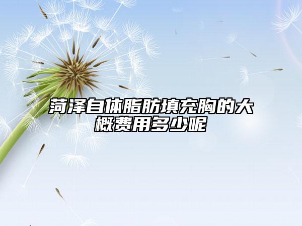 菏泽自体脂肪填充胸的大概费用多少呢