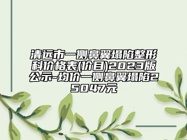 清远市一侧鼻翼塌陷整形科价格表(价目)2023版公示-均价一侧鼻翼塌陷25047元