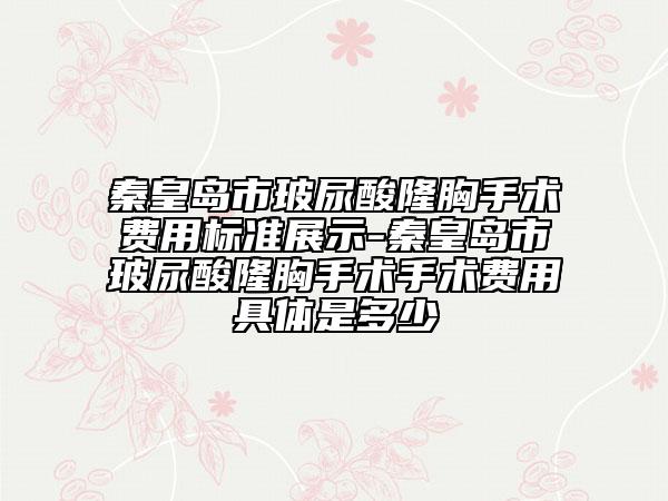 秦皇岛市玻尿酸隆胸手术费用标准展示-秦皇岛市玻尿酸隆胸手术手术费用具体是多少