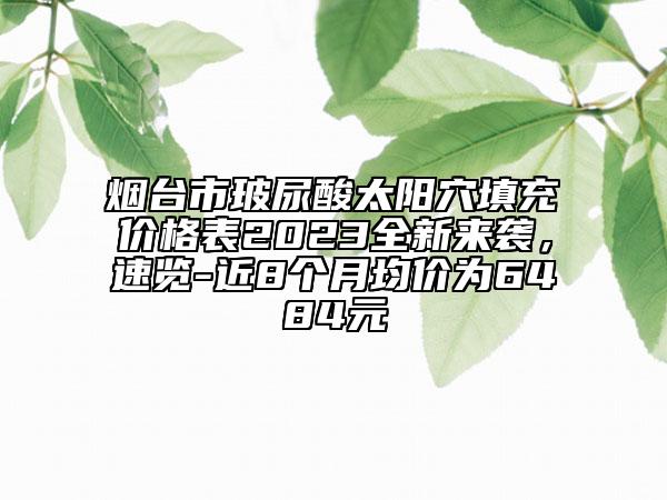 烟台市玻尿酸太阳穴填充价格表2023全新来袭，速览-近8个月均价为6484元