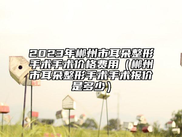 2023年郴州市耳朵整形手术手术价格费用（郴州市耳朵整形手术手术报价是多少）