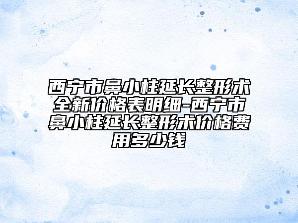西宁市鼻小柱延长整形术全新价格表明细-西宁市鼻小柱延长整形术价格费用多少钱