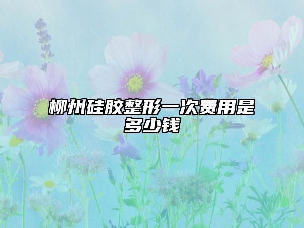 柳州硅胶整形一次费用是多少钱