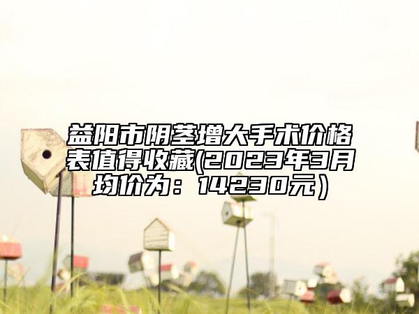 益阳市阴茎增大手术价格表值得收藏(2023年3月均价为：14230元）