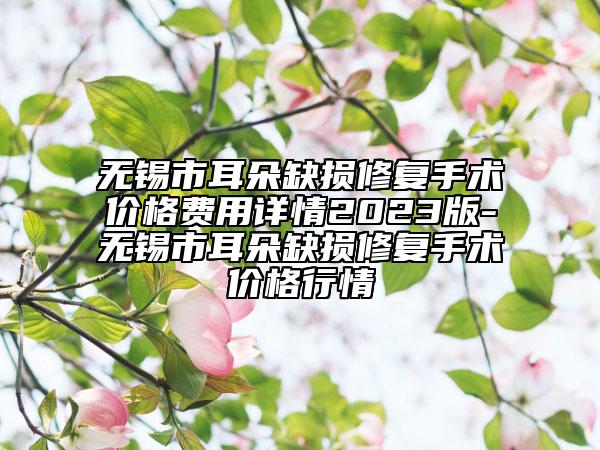 无锡市耳朵缺损修复手术价格费用详情2023版-无锡市耳朵缺损修复手术价格行情