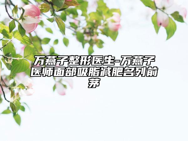 万燕子整形医生-万燕子医师面部吸脂减肥名列前茅