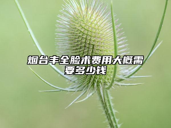 烟台丰全脸术费用大概需要多少钱