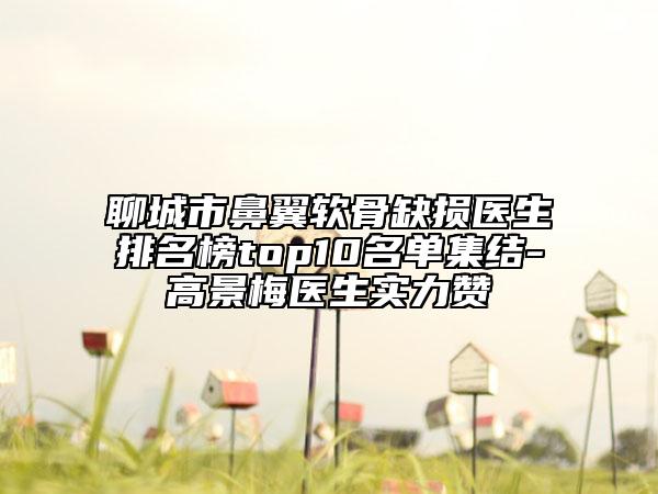 聊城市鼻翼软骨缺损医生排名榜top10名单集结-高景梅医生实力赞