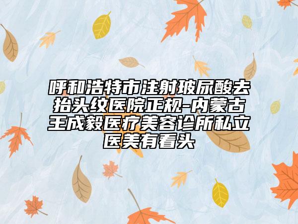 呼和浩特市注射玻尿酸去抬头纹医院正规-内蒙古王成毅医疗美容诊所私立医美有看头