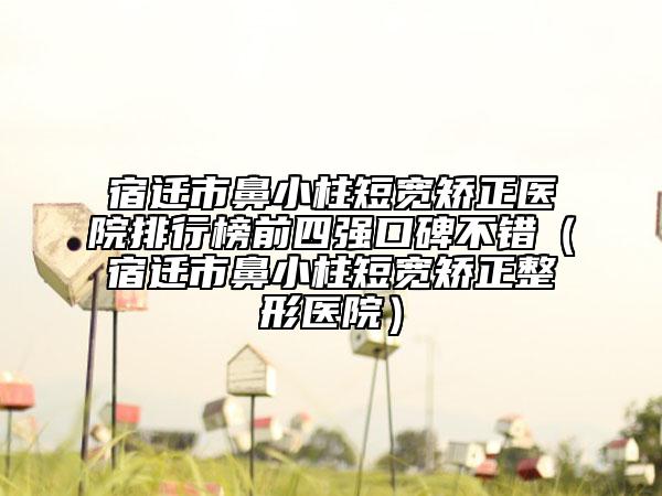 宿迁市鼻小柱短宽矫正医院排行榜前四强口碑不错（宿迁市鼻小柱短宽矫正整形医院）