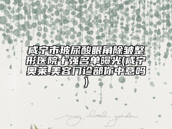 咸宁市玻尿酸眼角除皱整形医院十强名单曝光(咸宁奥莱.美容门诊部你中意吗)