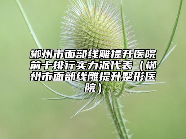 郴州市面部线雕提升医院前十排行实力派代表（郴州市面部线雕提升整形医院）