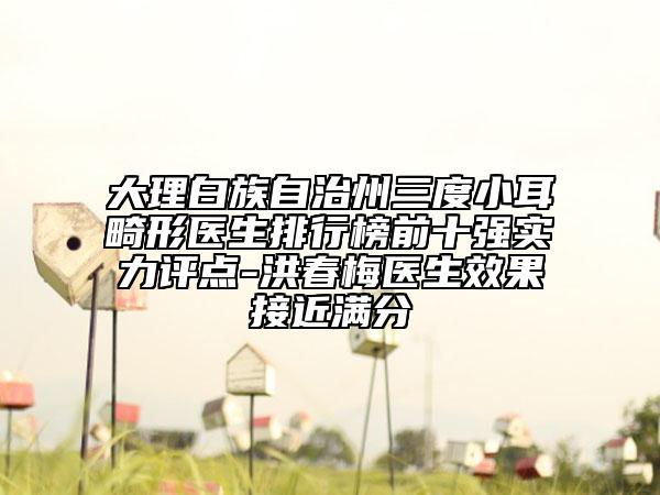 大理白族自治州三度小耳畸形医生排行榜前十强实力评点-洪春梅医生效果接近满分