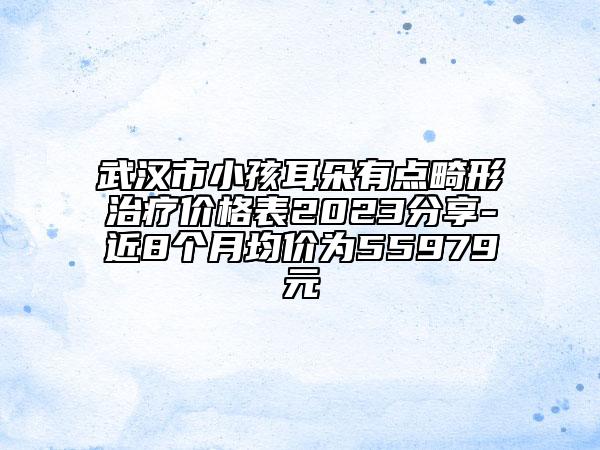 武汉市小孩耳朵有点畸形治疗价格表2023分享-近8个月均价为55979元