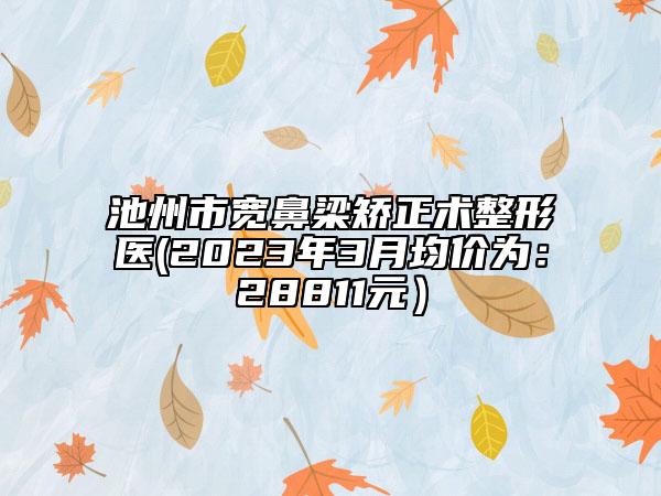 池州市宽鼻梁矫正术整形医(2023年3月均价为：28811元）