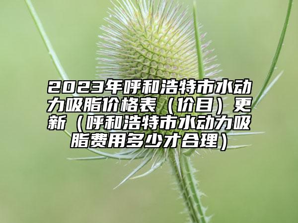 2023年呼和浩特市水动力吸脂价格表（价目）更新（呼和浩特市水动力吸脂费用多少才合理）