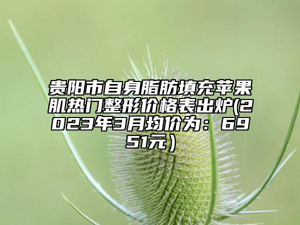贵阳市自身脂肪填充苹果肌热门整形价格表出炉(2023年3月均价为：6951元）