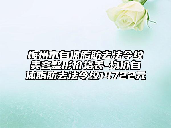 梅州市自体脂肪去法令纹美容整形价格表-均价自体脂肪去法令纹14722元