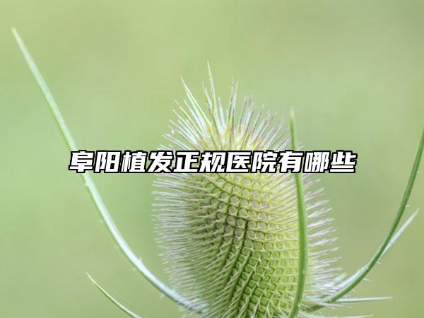 阜阳植发正规医院有哪些