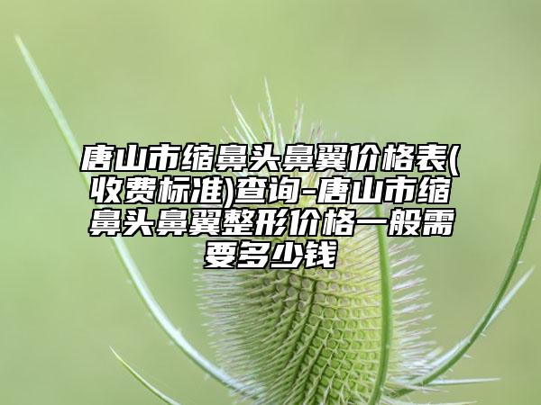 唐山市缩鼻头鼻翼价格表(收费标准)查询-唐山市缩鼻头鼻翼整形价格一般需要多少钱