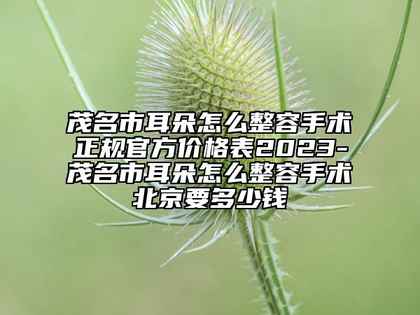 茂名市耳朵怎么整容手术正规官方价格表2023-茂名市耳朵怎么整容手术北京要多少钱