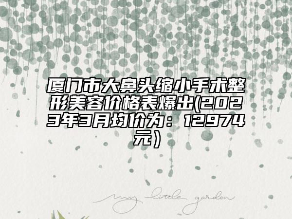 厦门市大鼻头缩小手术整形美容价格表爆出(2023年3月均价为：12974元）