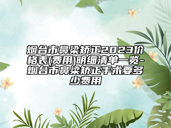 烟台市鼻梁矫正2023价格表(费用)明细清单一览-烟台市鼻梁矫正手术要多少费用