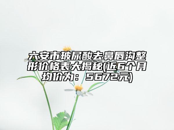 六安市玻尿酸去鼻唇沟整形价格表大揭秘(近6个月均价为：5672元)