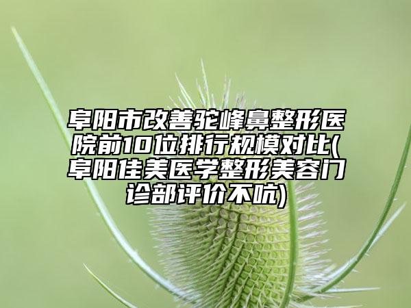 阜阳市改善驼峰鼻整形医院前10位排行规模对比(阜阳佳美医学整形美容门诊部评价不吭)