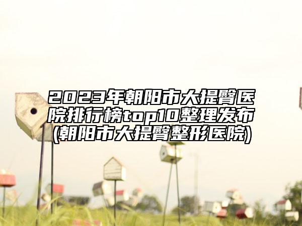 2023年朝阳市大提臀医院排行榜top10整理发布(朝阳市大提臀整形医院)