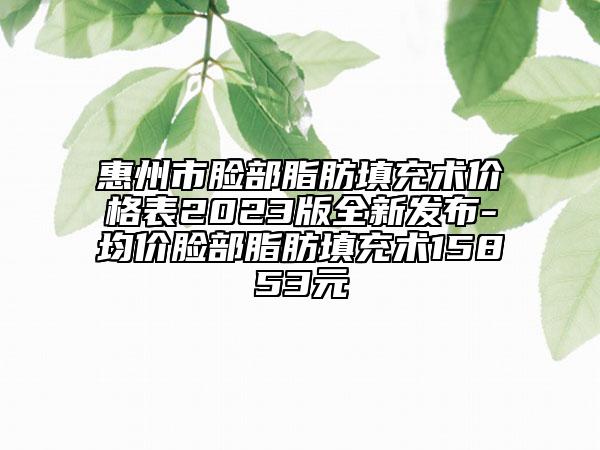惠州市脸部脂肪填充术价格表2023版全新发布-均价脸部脂肪填充术15853元