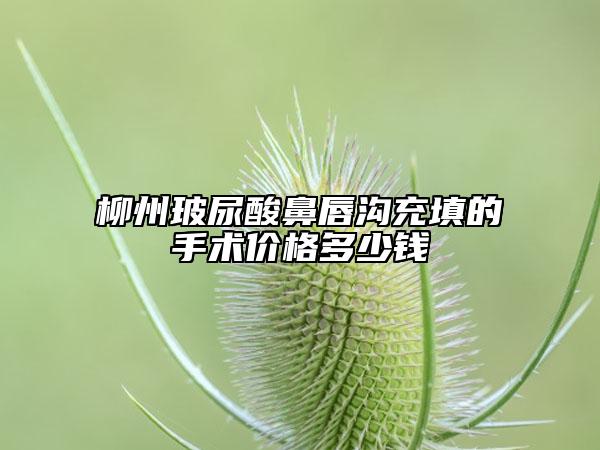 柳州玻尿酸鼻唇沟充填的手术价格多少钱
