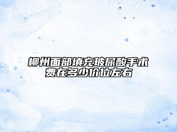 柳州面部填充玻尿酸手术费在多少价位左右