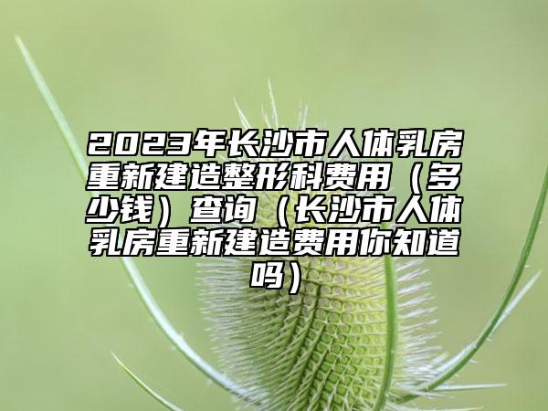 2023年长沙市人体乳房重新建造整形科费用（多少钱）查询（长沙市人体乳房重新建造费用你知道吗）