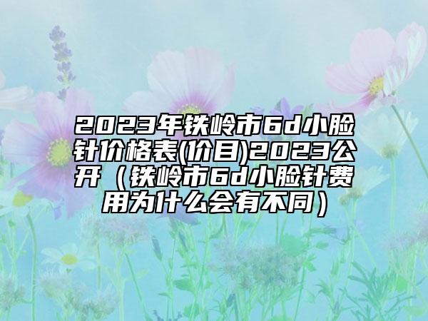 2023年铁岭市6d小脸针价格表(价目)2023公开（铁岭市6d小脸针费用为什么会有不同）