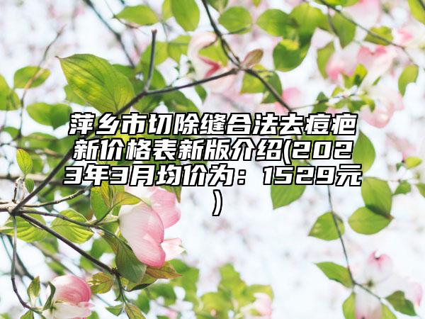 萍乡市切除缝合法去痘疤新价格表新版介绍(2023年3月均价为：1529元）
