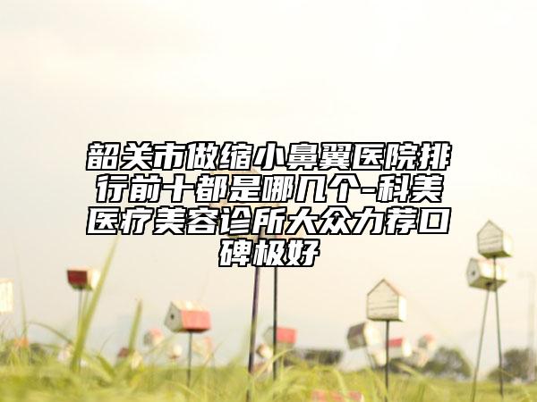 韶关市做缩小鼻翼医院排行前十都是哪几个-科美医疗美容诊所大众力荐口碑极好