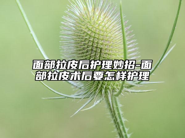 面部拉皮后护理妙招-面部拉皮术后要怎样护理