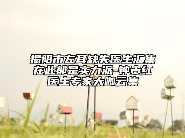 揭阳市左耳缺失医生汇集在此都是实力派-钟贵红医生专家大咖云集
