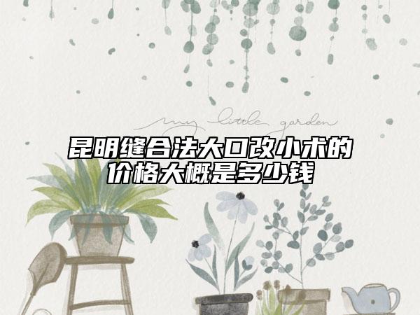 昆明缝合法大口改小术的价格大概是多少钱