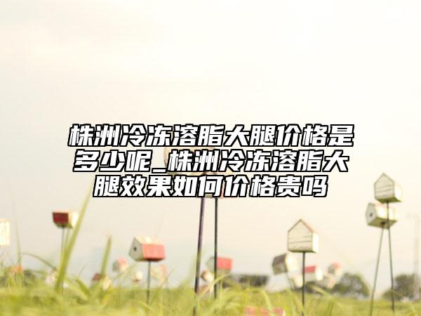 株洲冷冻溶脂大腿价格是多少呢_株洲冷冻溶脂大腿效果如何价格贵吗
