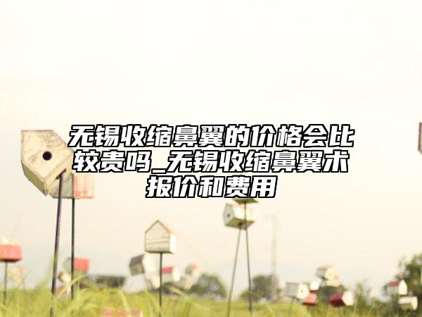 无锡收缩鼻翼的价格会比较贵吗_无锡收缩鼻翼术报价和费用