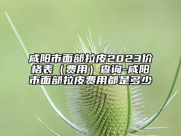 咸阳市面部拉皮2023价格表（费用）查询-咸阳市面部拉皮费用都是多少